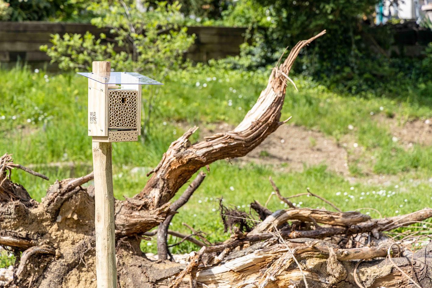 Collagebild 1