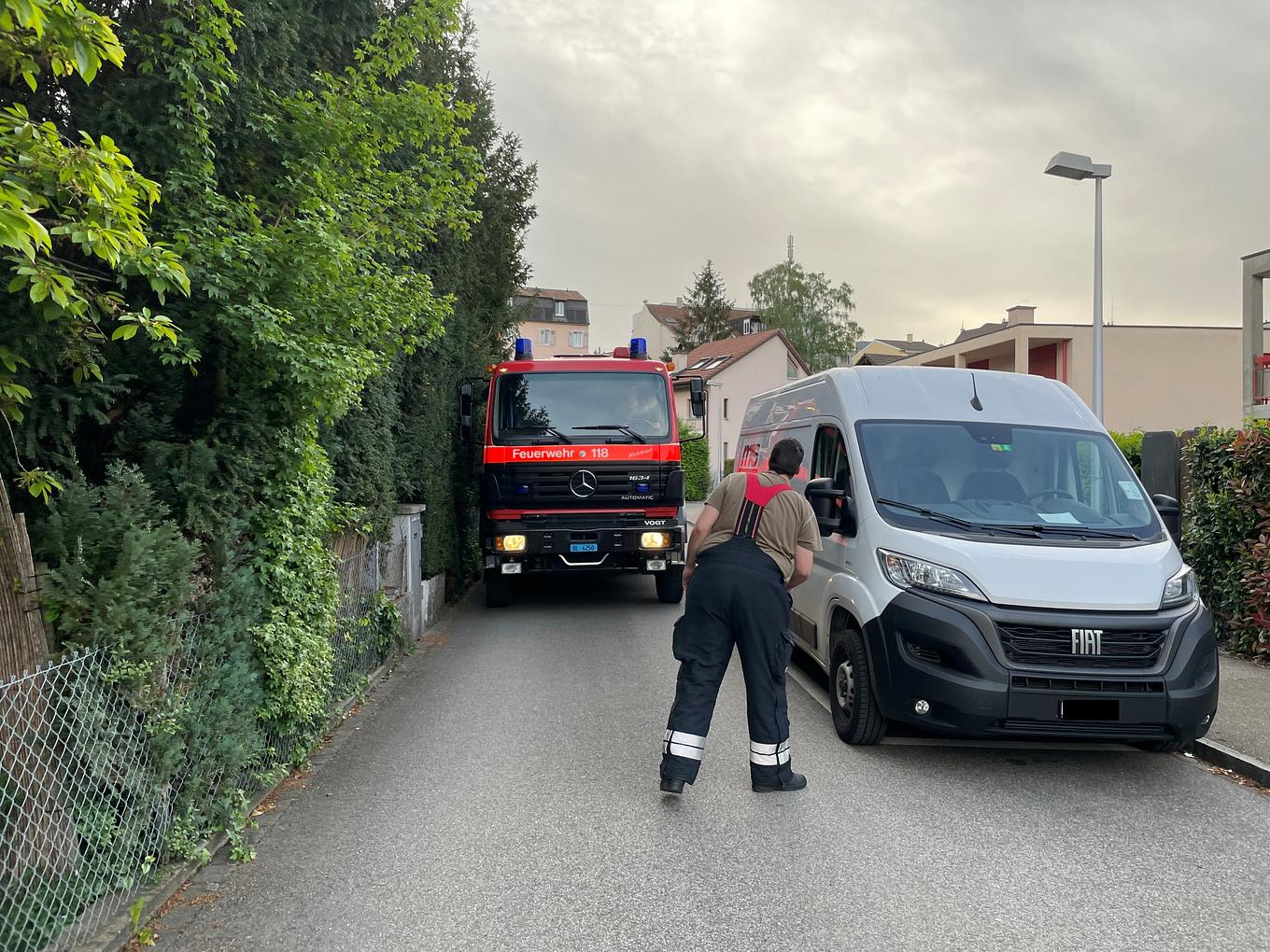 Bild im Zusammenhang mit dem Beitrag