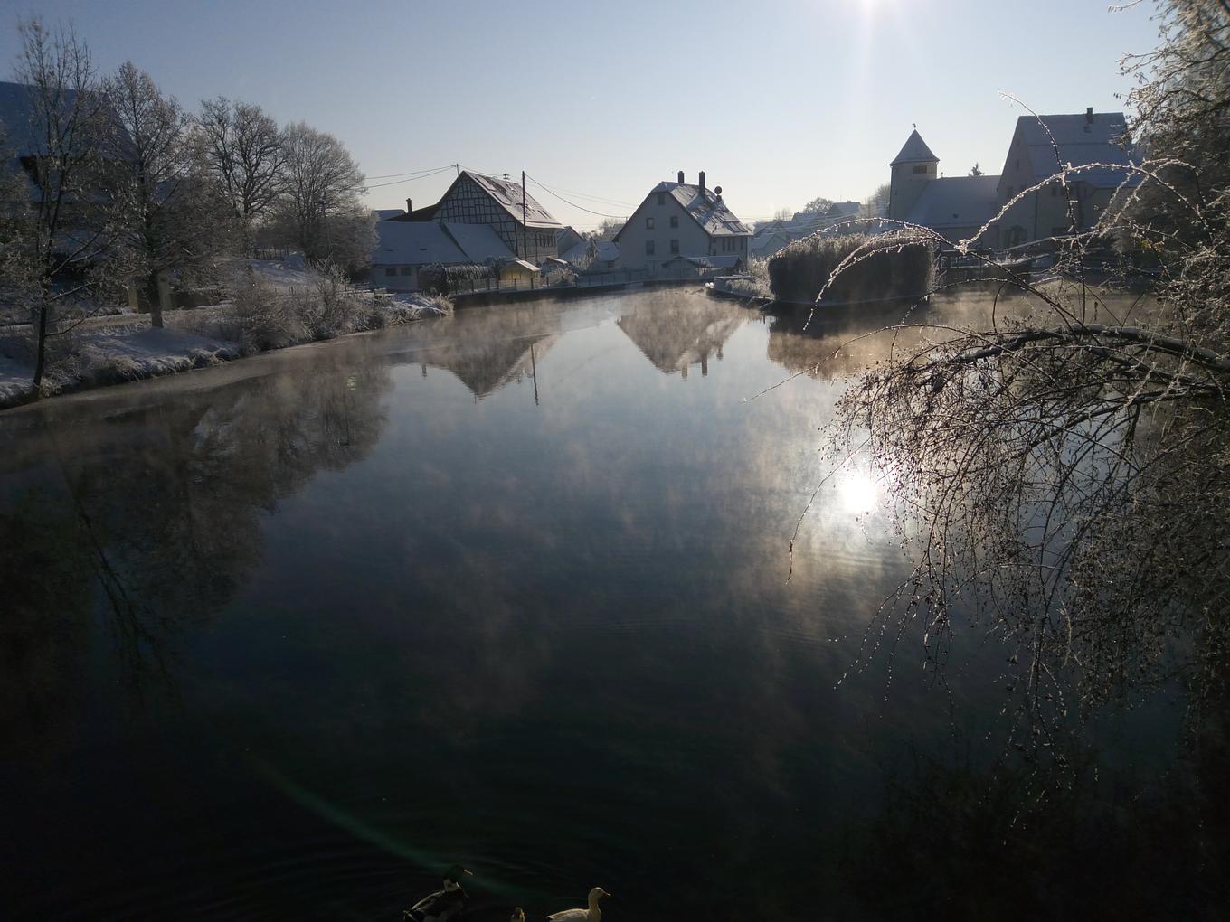 Bild im Zusammenhang mit dem Beitrag