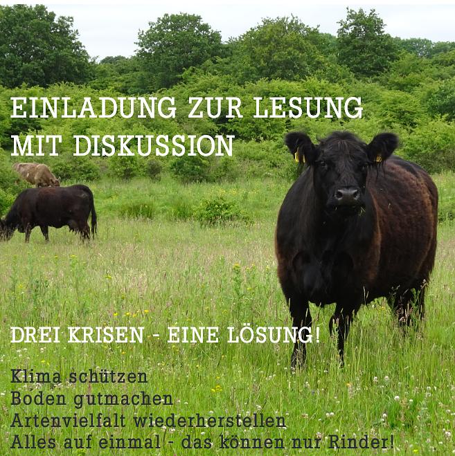 Bild im Zusammenhang mit dem Beitrag