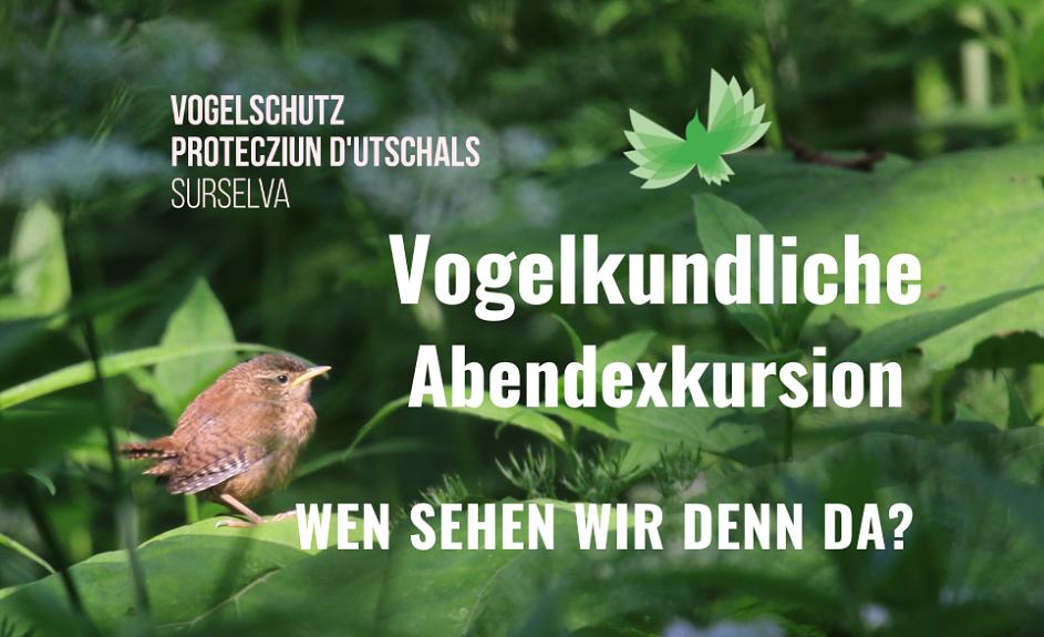 Bild im Zusammenhang mit dem Beitrag