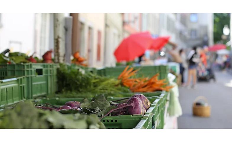 Image de collage 1