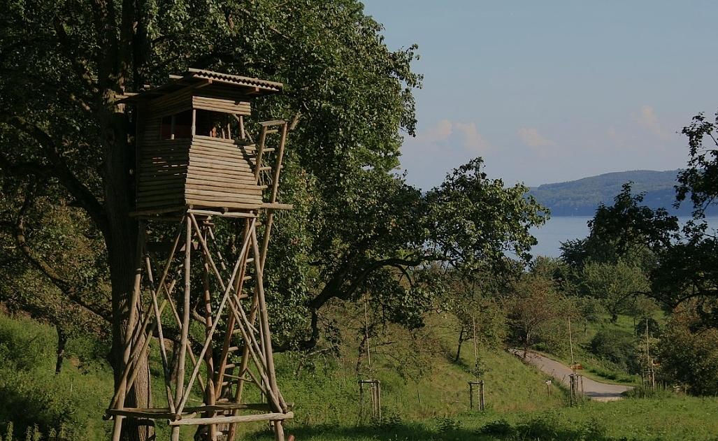 Bild im Zusammenhang mit dem Beitrag