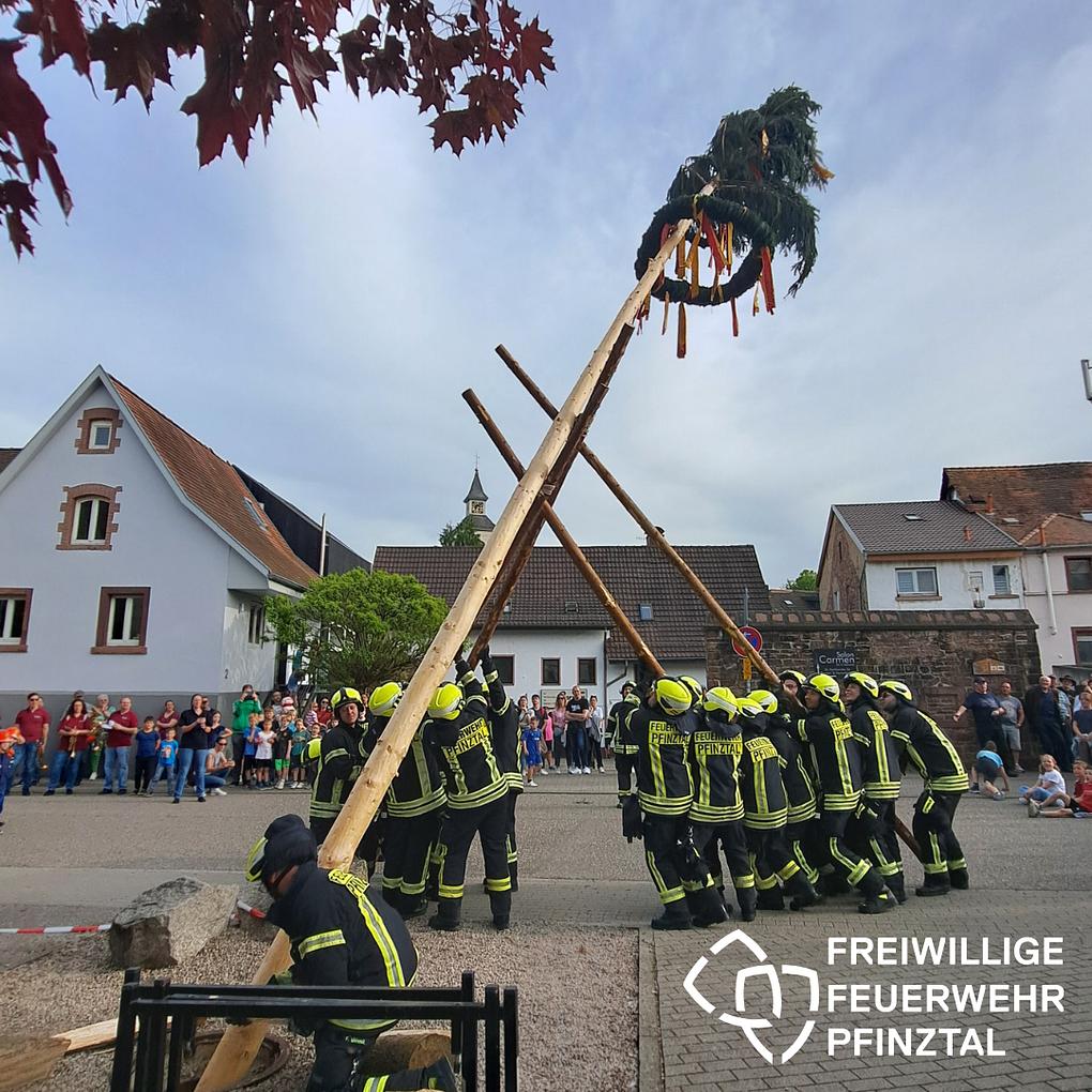 Bild im Zusammenhang mit dem Beitrag