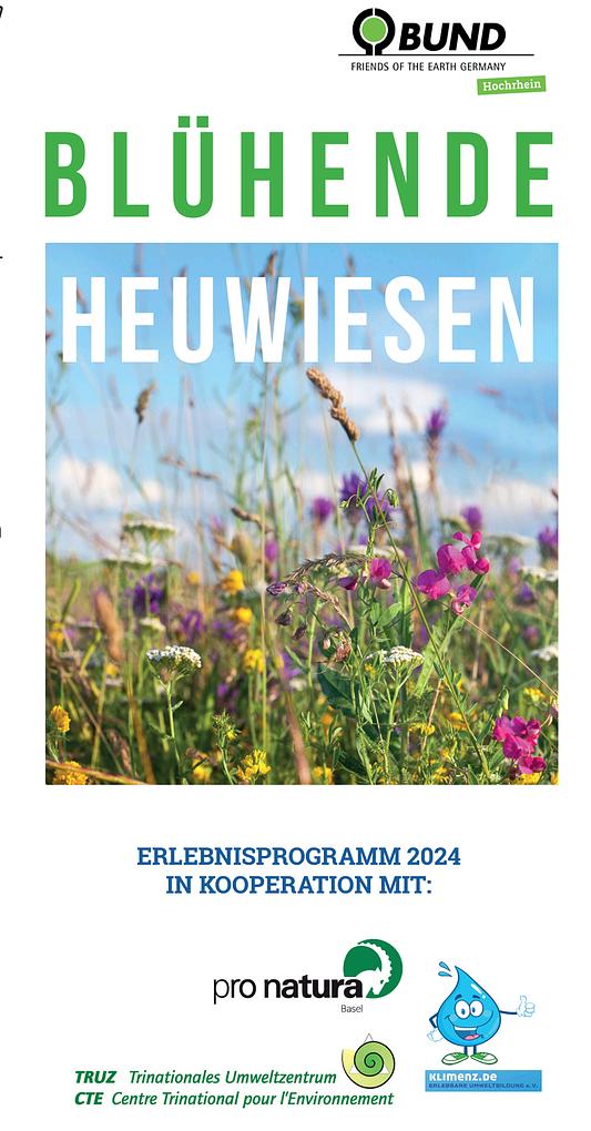 Bild im Zusammenhang mit dem Beitrag