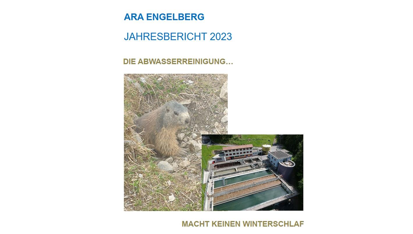 Bild im Zusammenhang mit dem Beitrag
