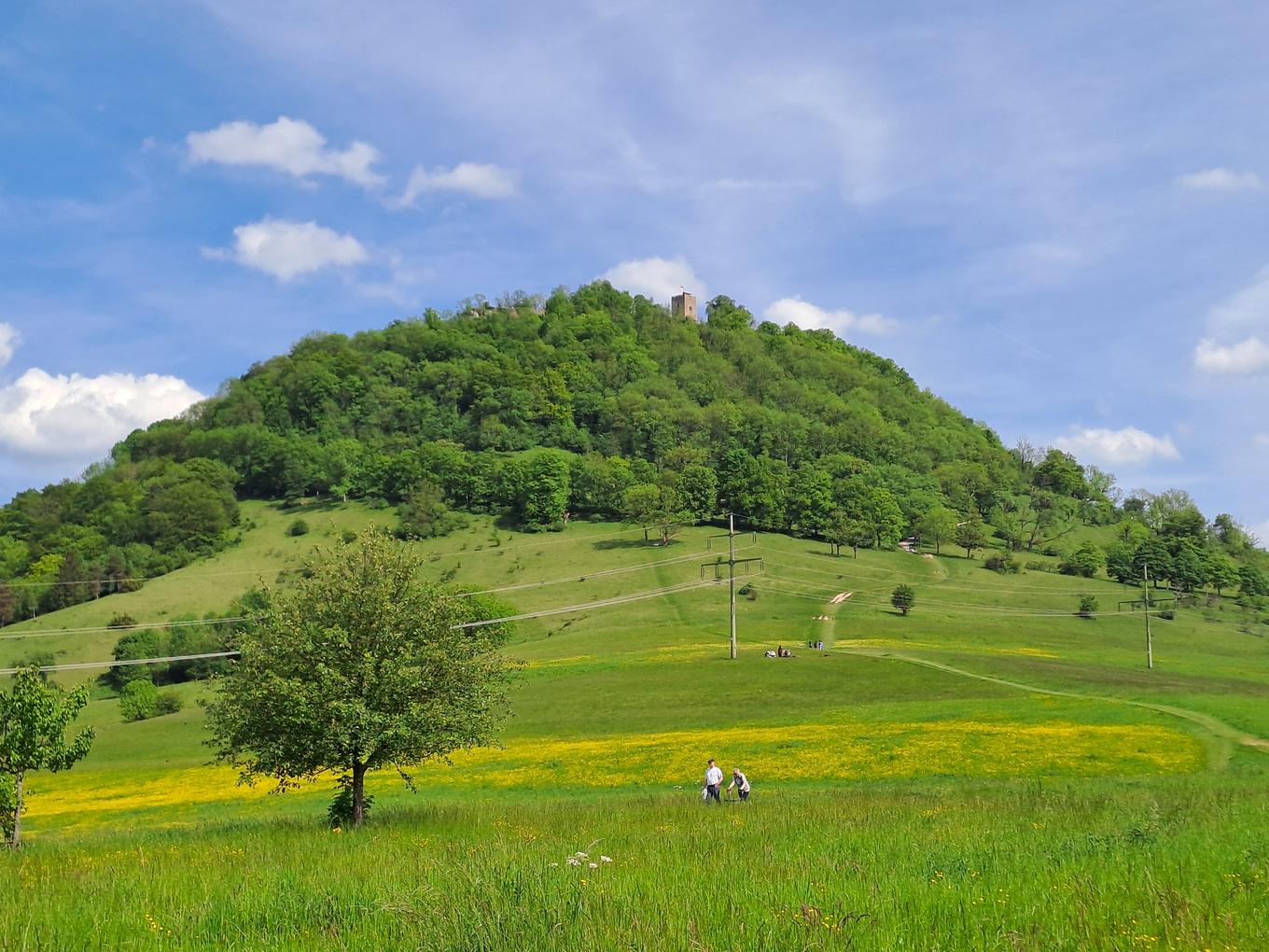 Bild im Zusammenhang mit dem Beitrag