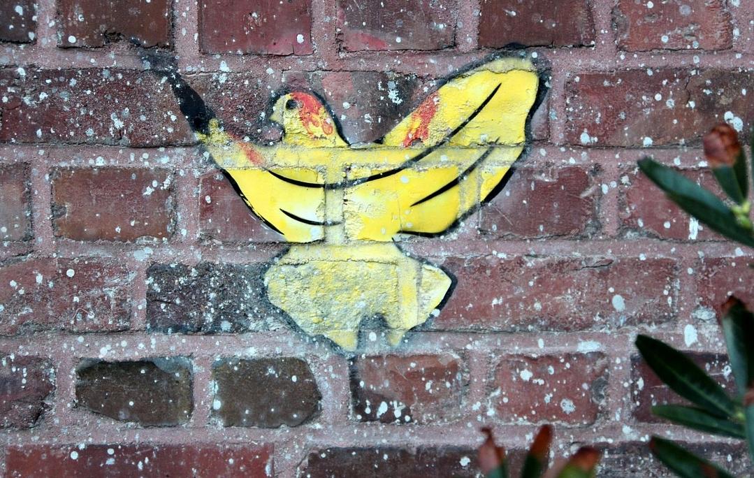 Bild im Zusammenhang mit dem Beitrag