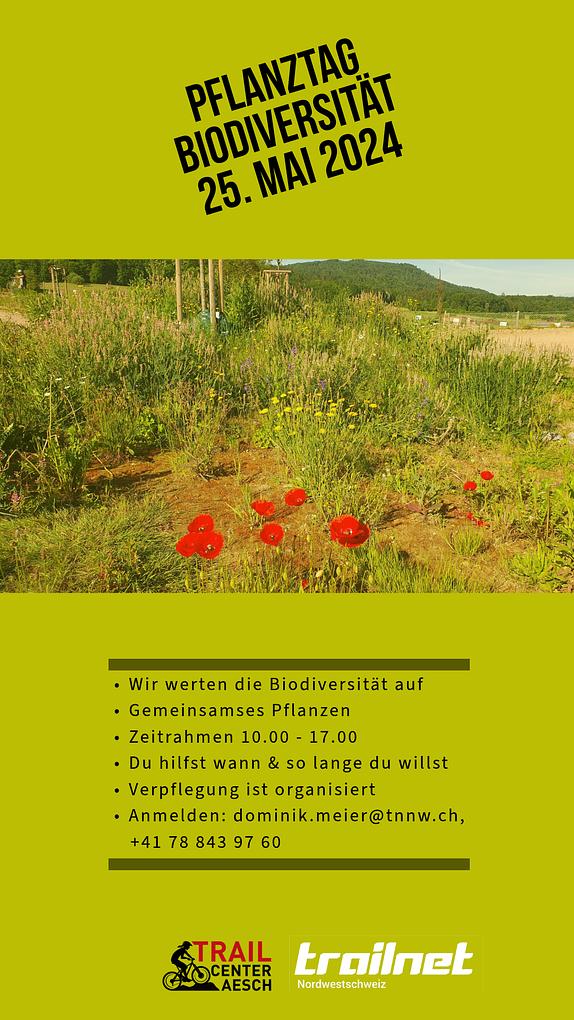 Bild im Zusammenhang mit dem Beitrag