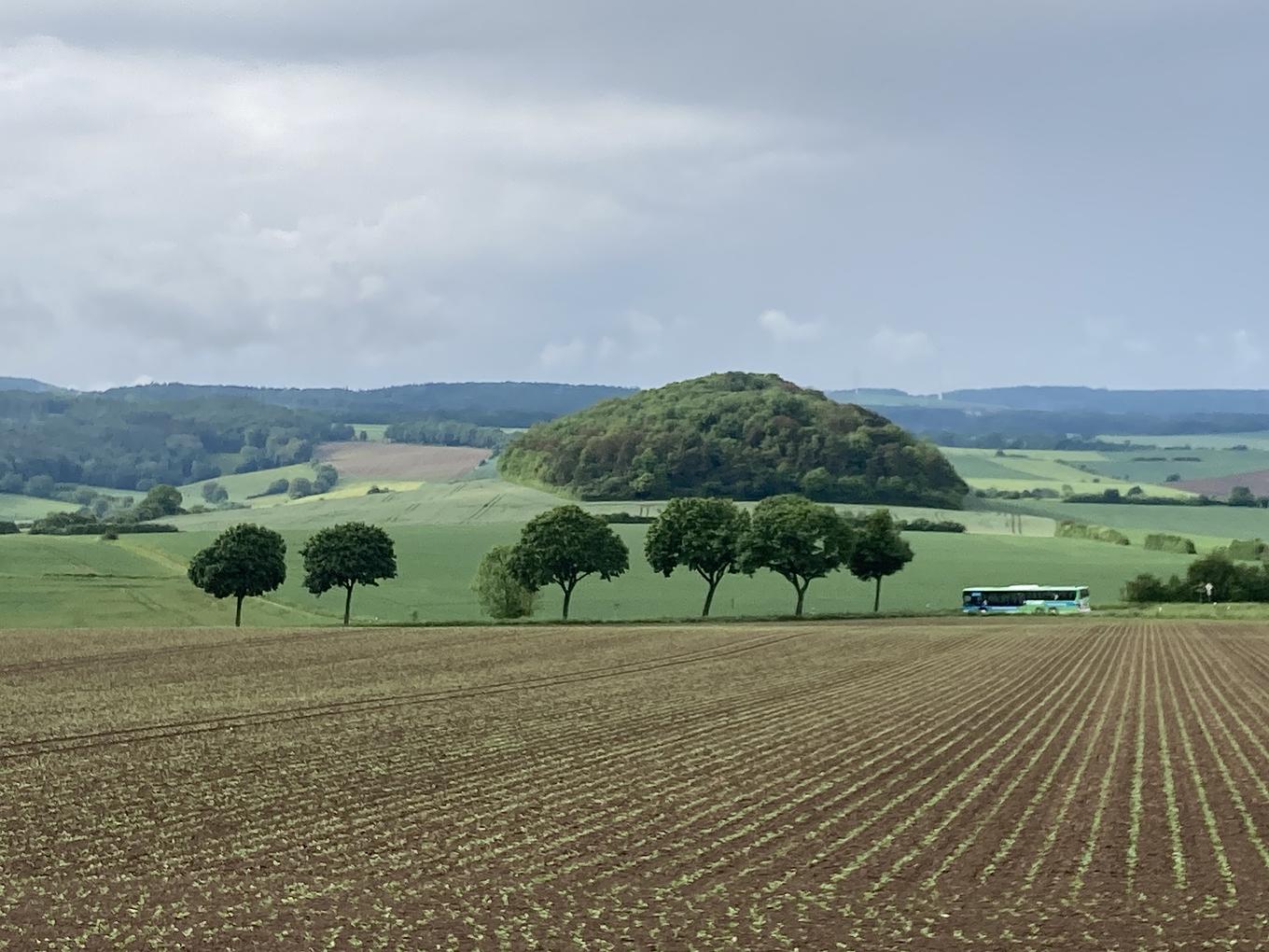 Bild im Zusammenhang mit dem Beitrag