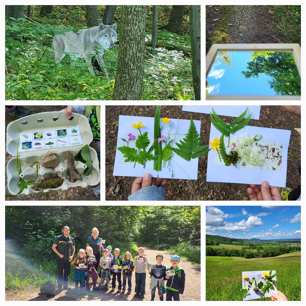 Collagebild 1