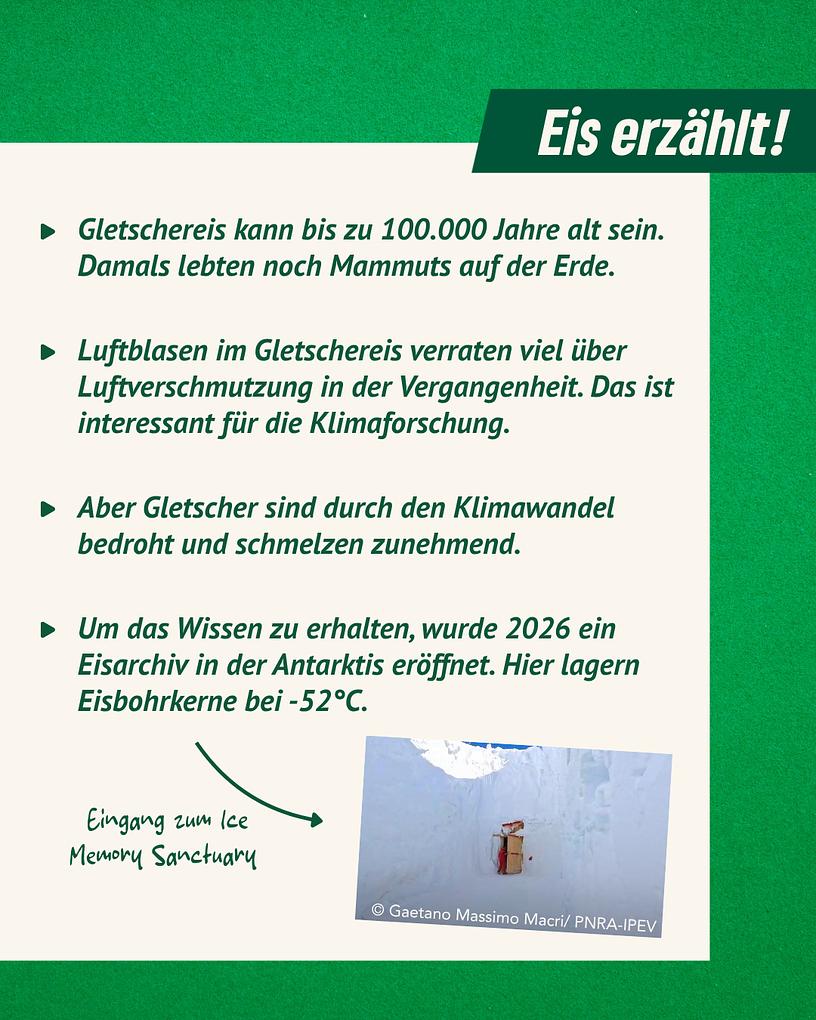 Collagebild 4