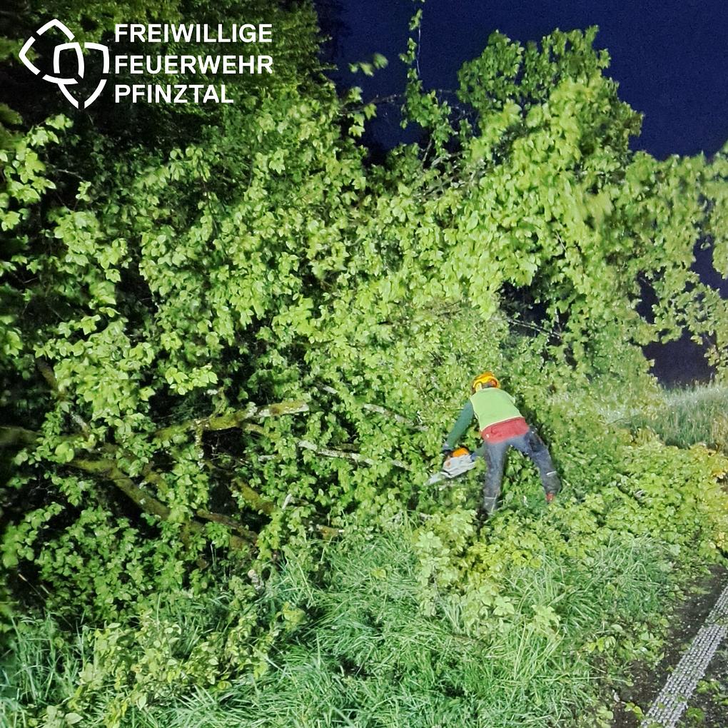 Bild im Zusammenhang mit dem Beitrag