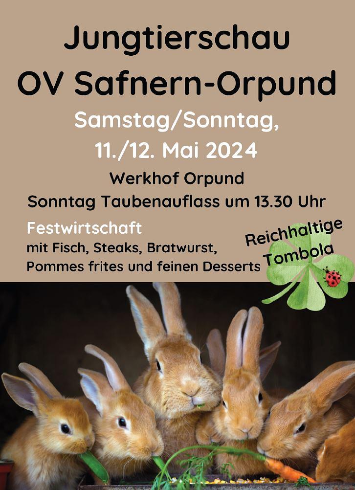 Bild im Zusammenhang mit dem Beitrag