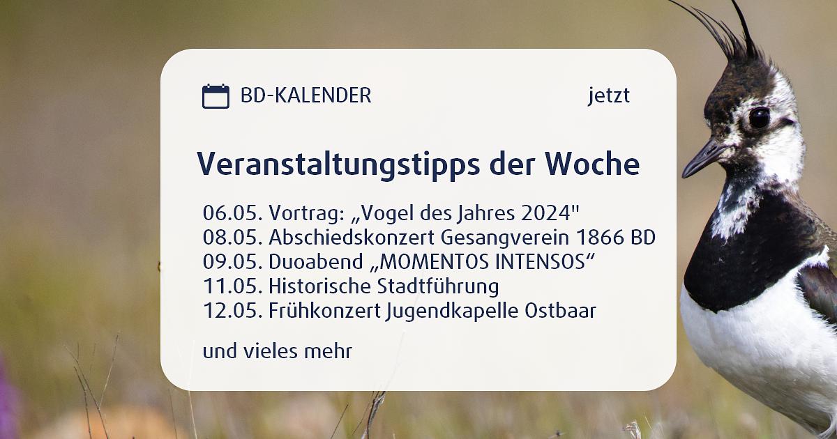 Bild im Zusammenhang mit dem Beitrag