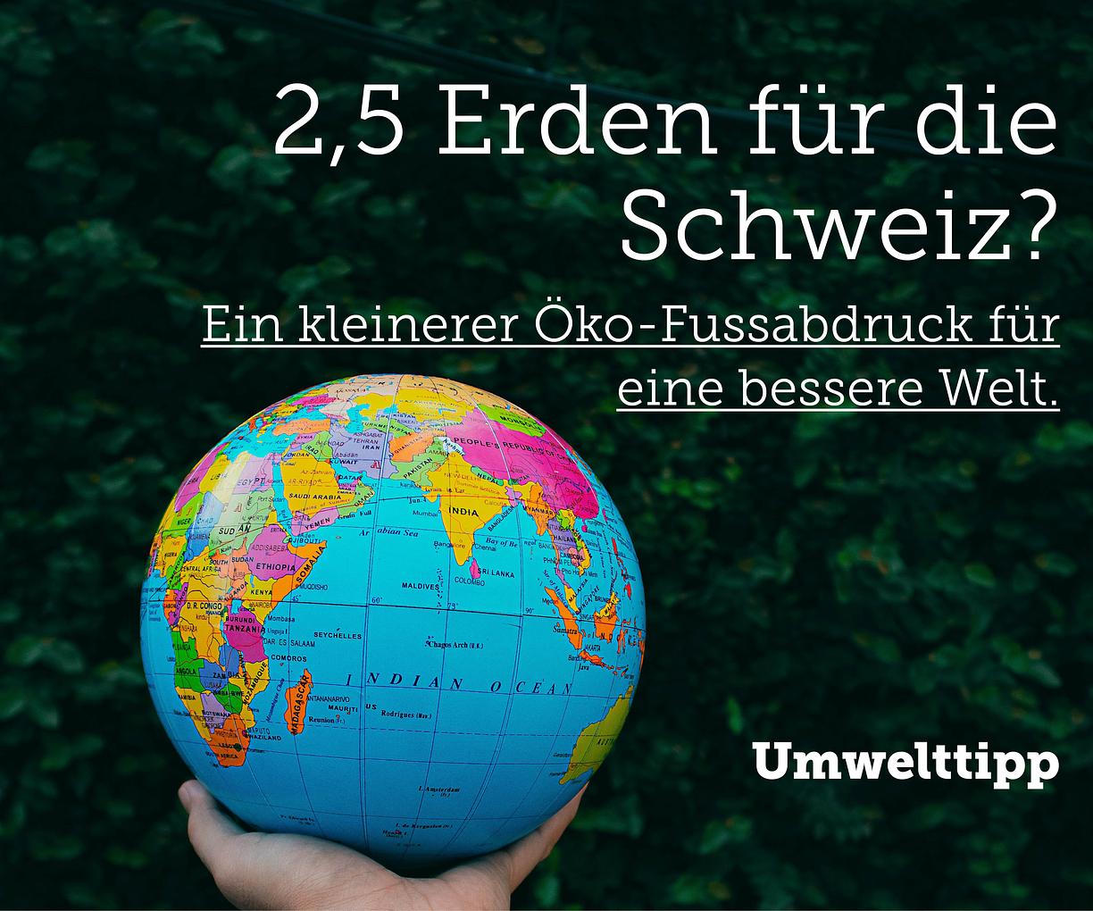Bild im Zusammenhang mit dem Beitrag