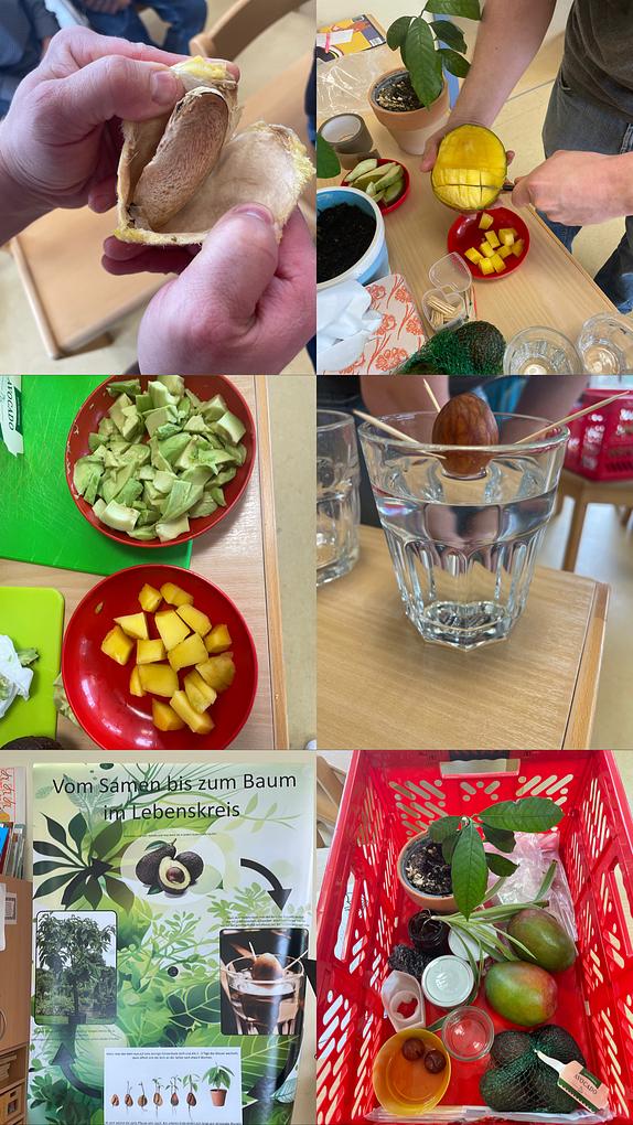 Collagebild 1