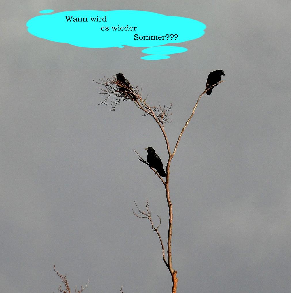 Image related to the post