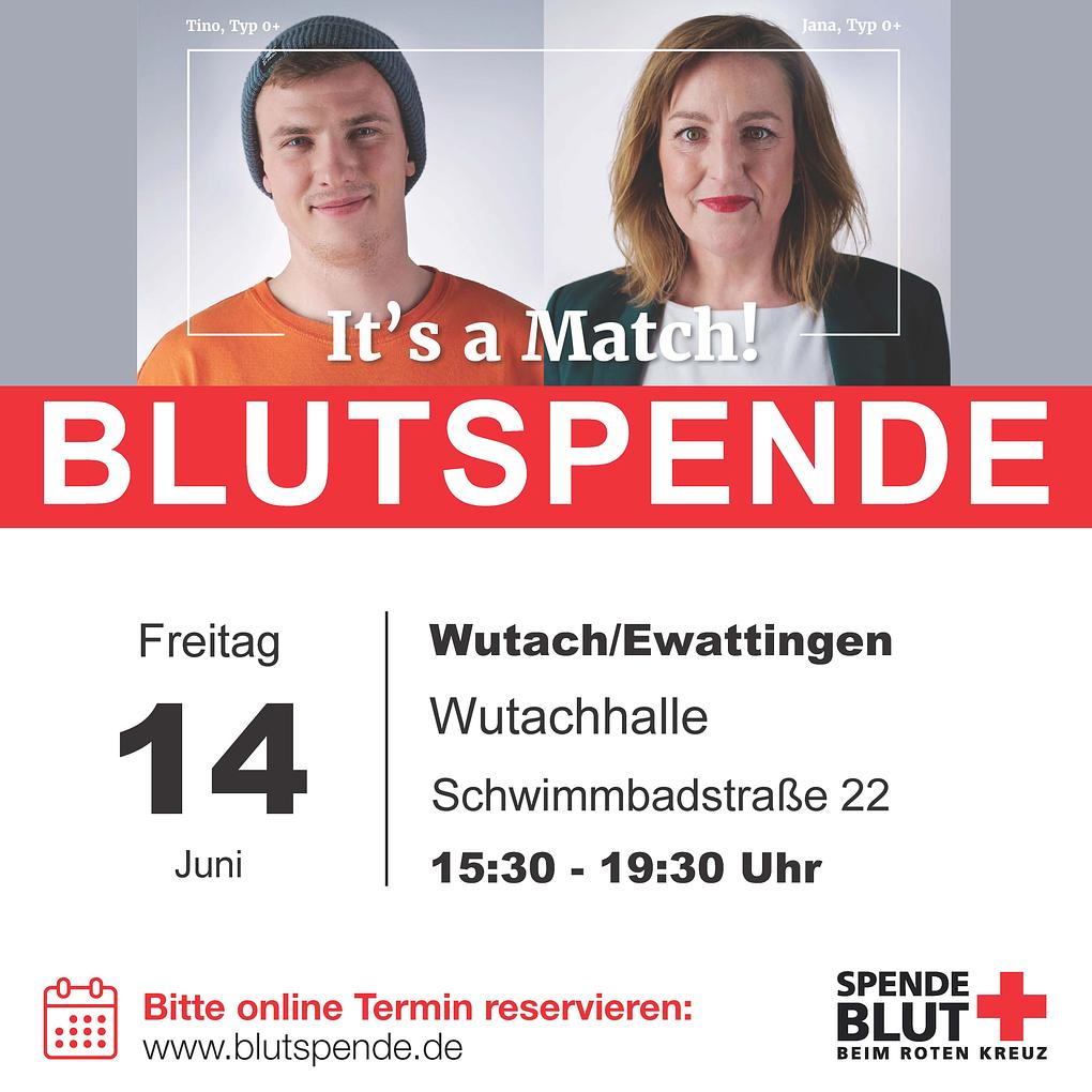 Bild im Zusammenhang mit dem Beitrag