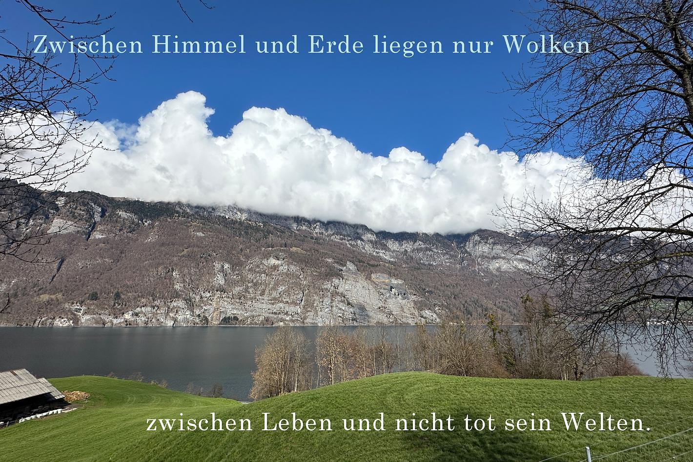 Collagebild 1