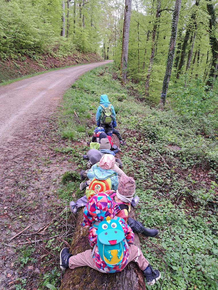 Bild im Zusammenhang mit dem Beitrag