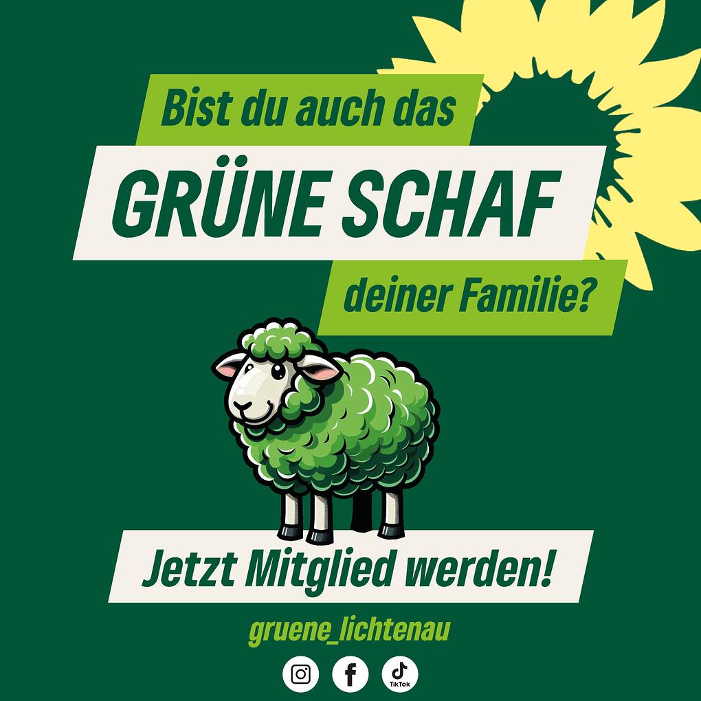 Bild im Zusammenhang mit dem Beitrag
