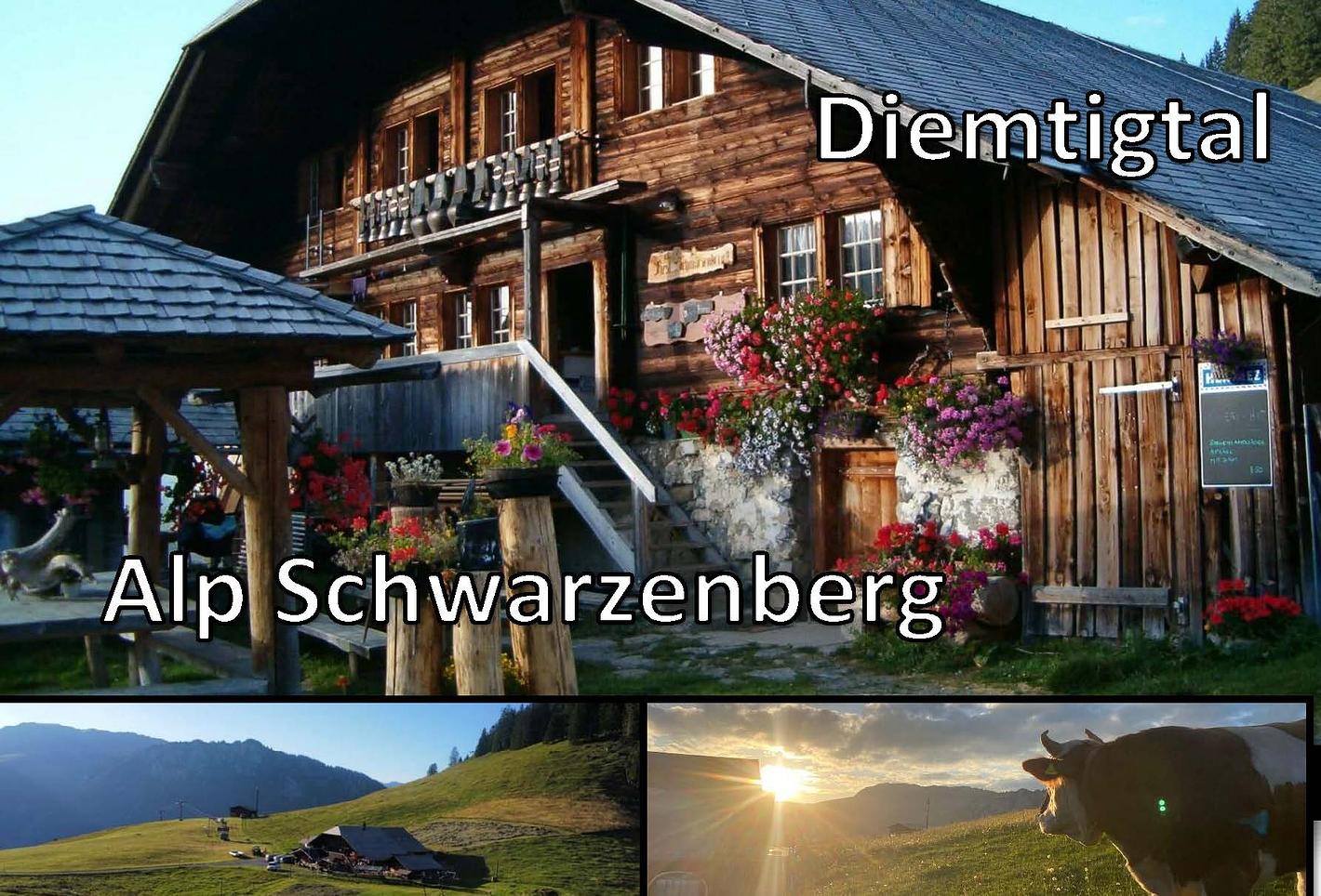 Collagebild 1