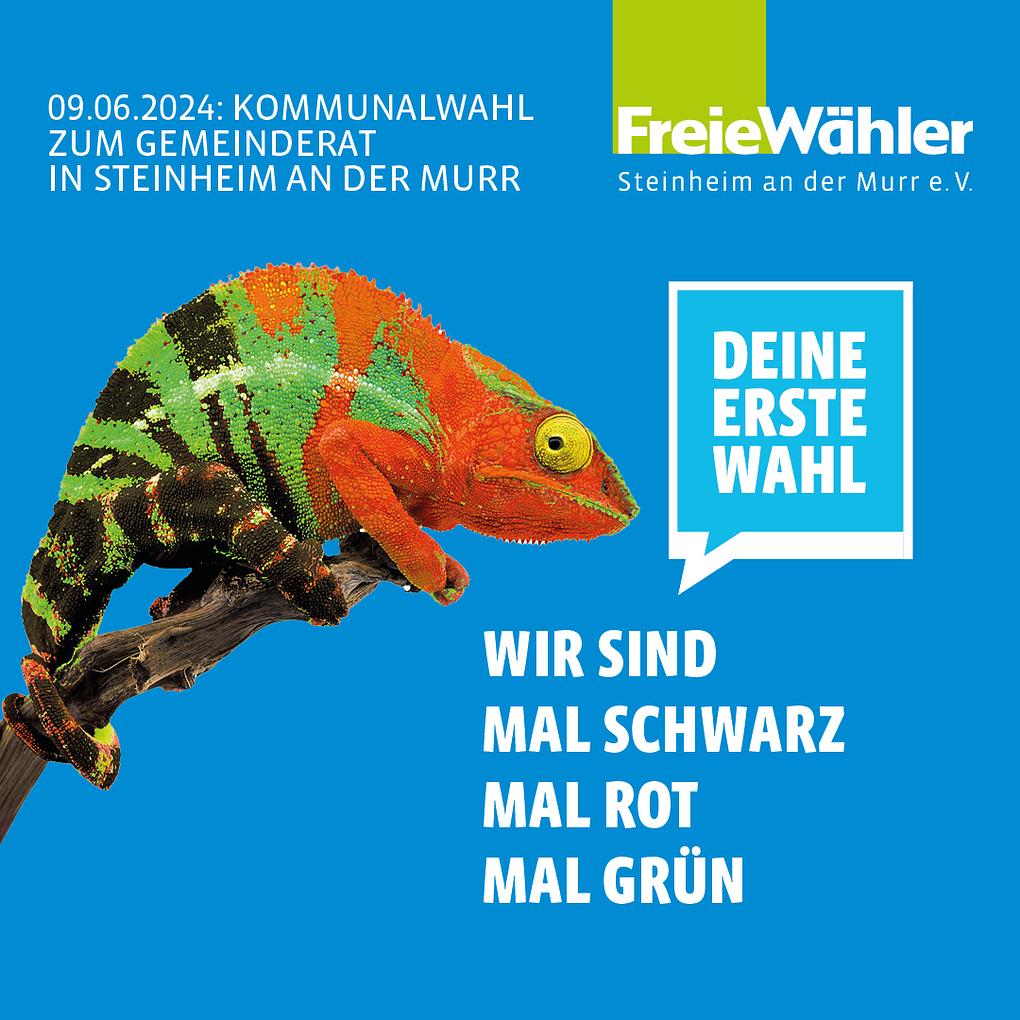Bild im Zusammenhang mit dem Beitrag