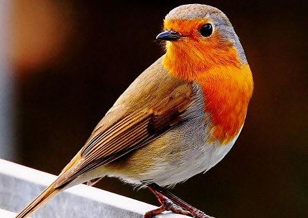 Image related to the post