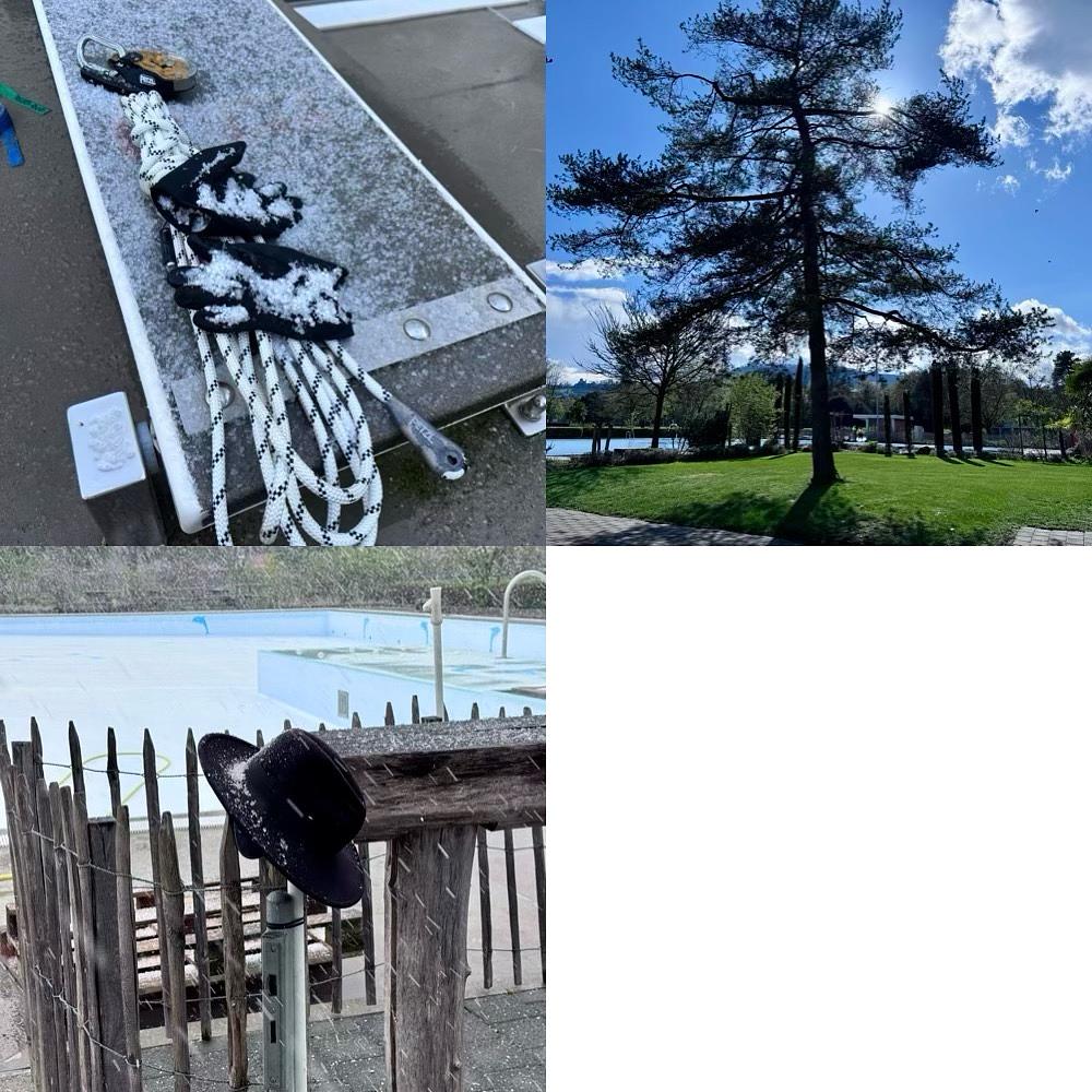 Collagebild 1