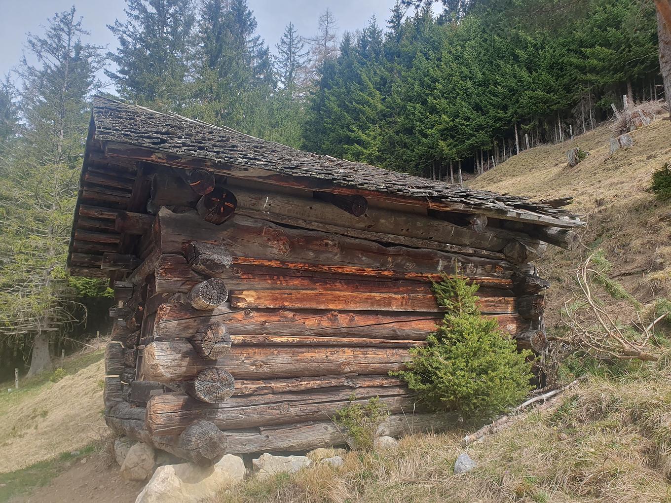 Bild im Zusammenhang mit dem Beitrag