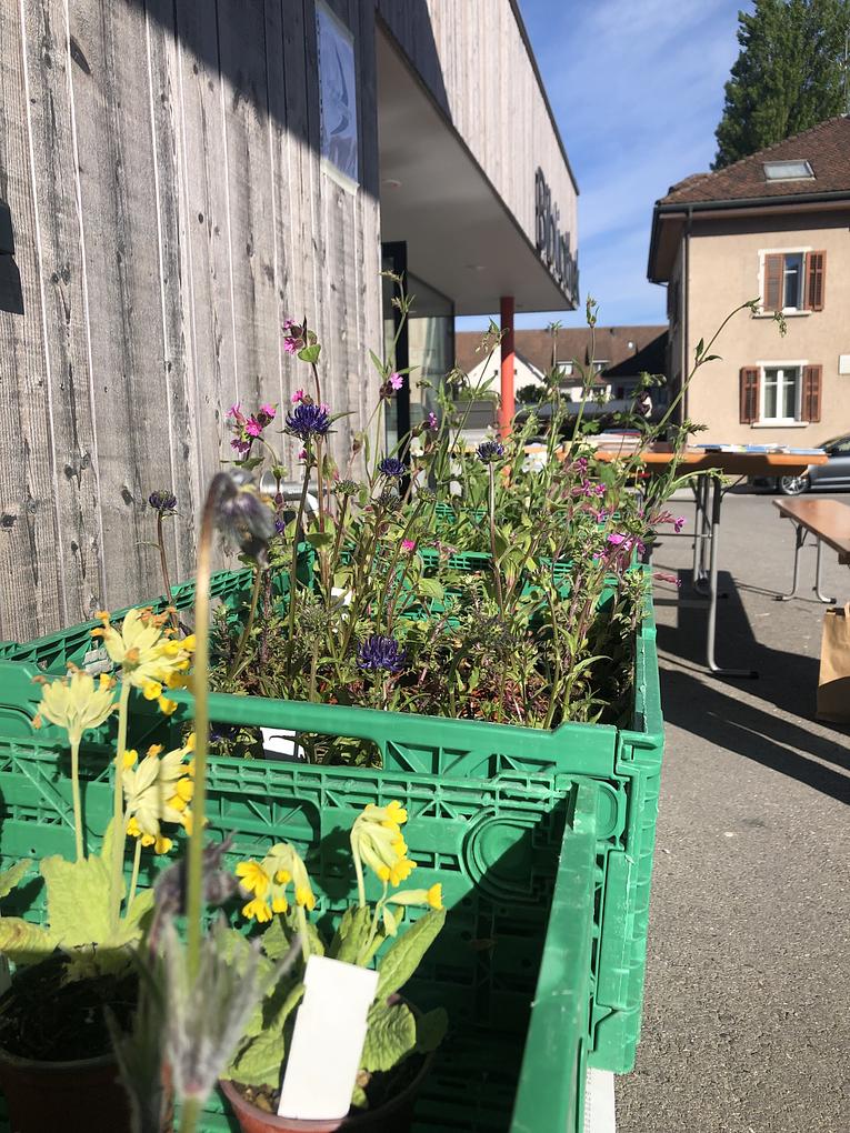 Bild im Zusammenhang mit dem Beitrag