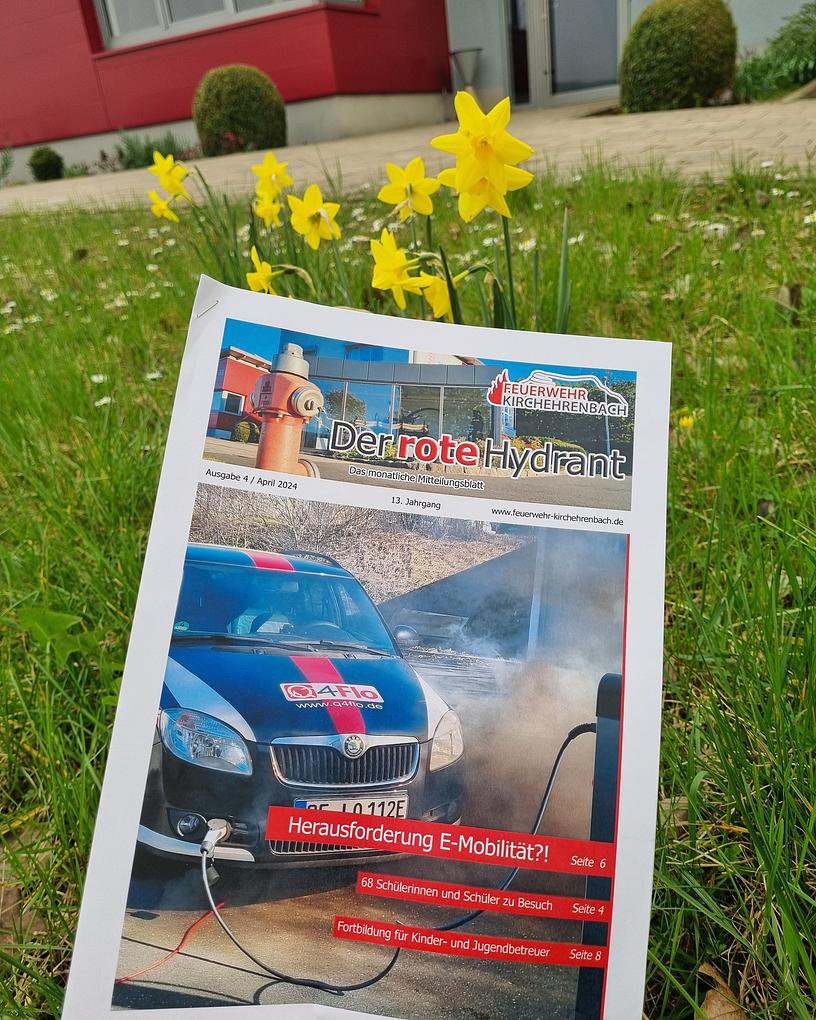 Bild im Zusammenhang mit dem Beitrag