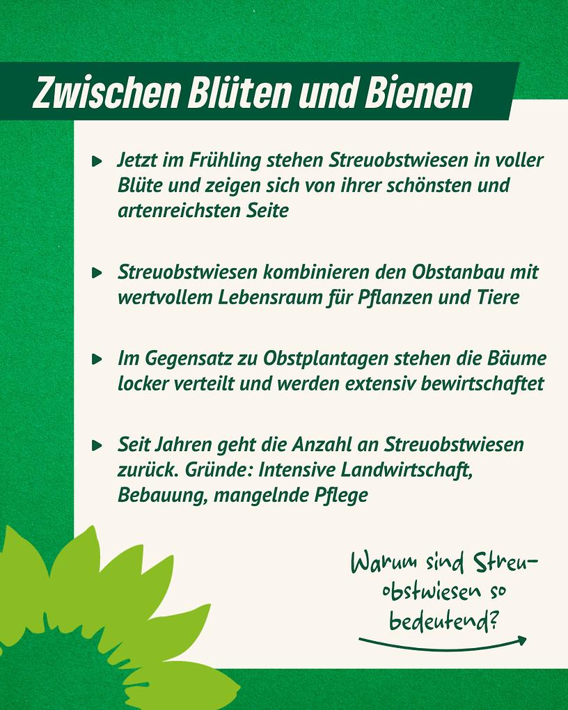 Collagebild 2