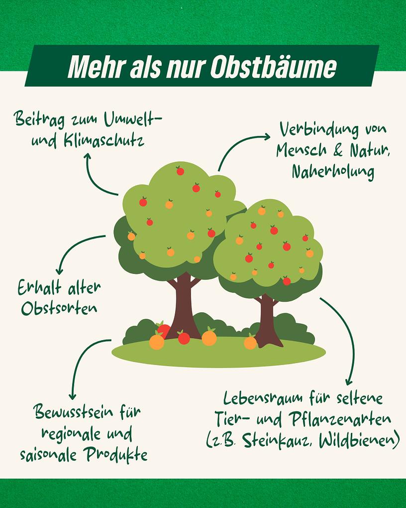 Collagebild 3