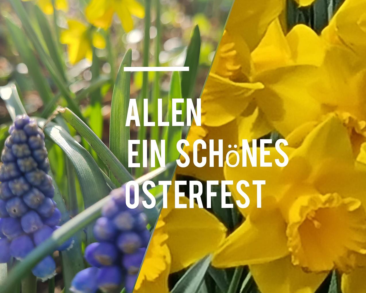 Collagebild 1
