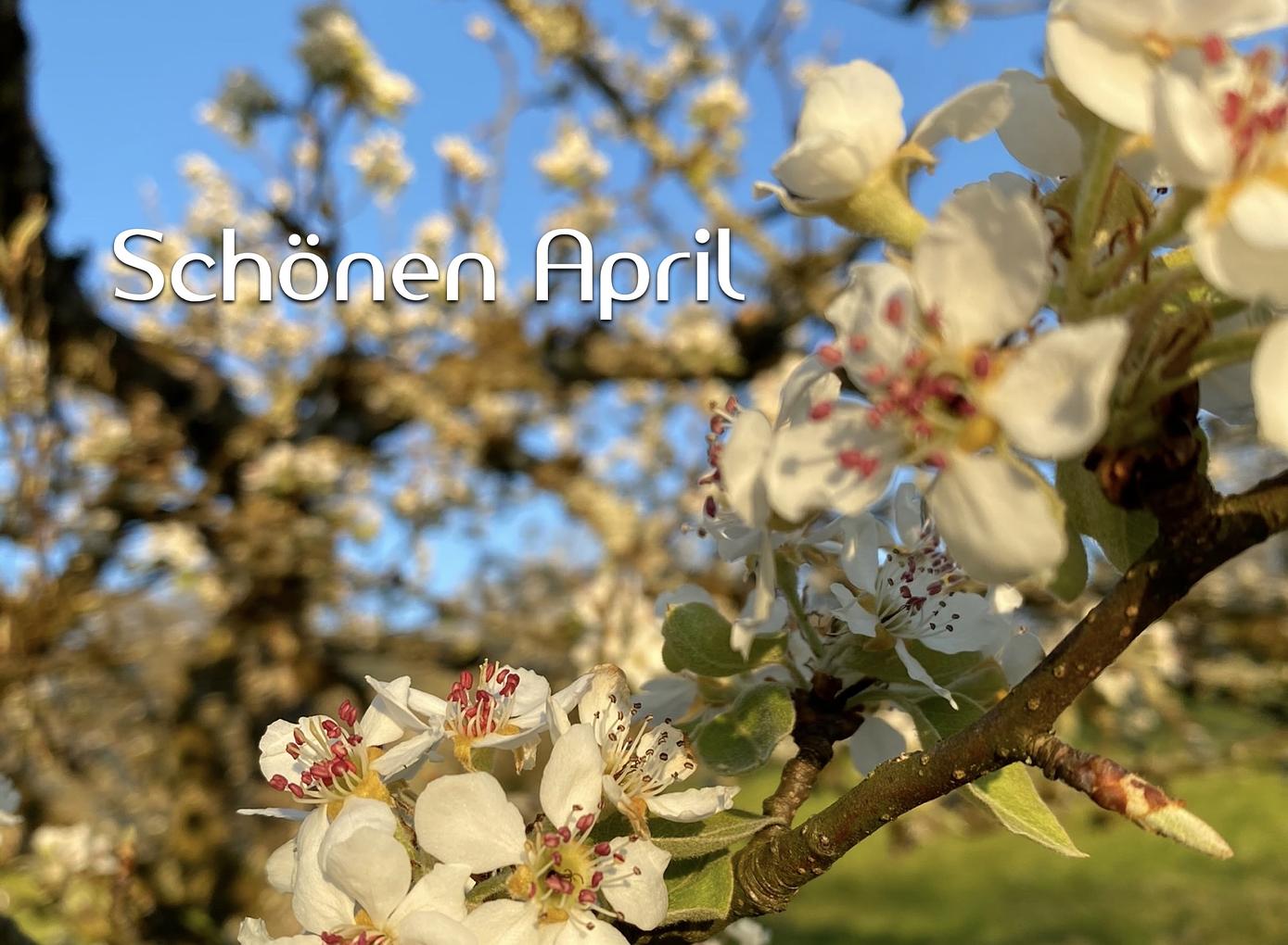 Collagebild 1