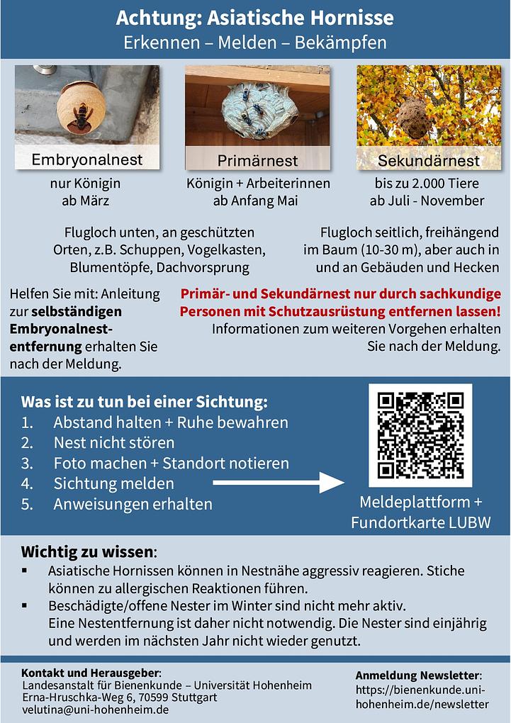 Collagebild 2