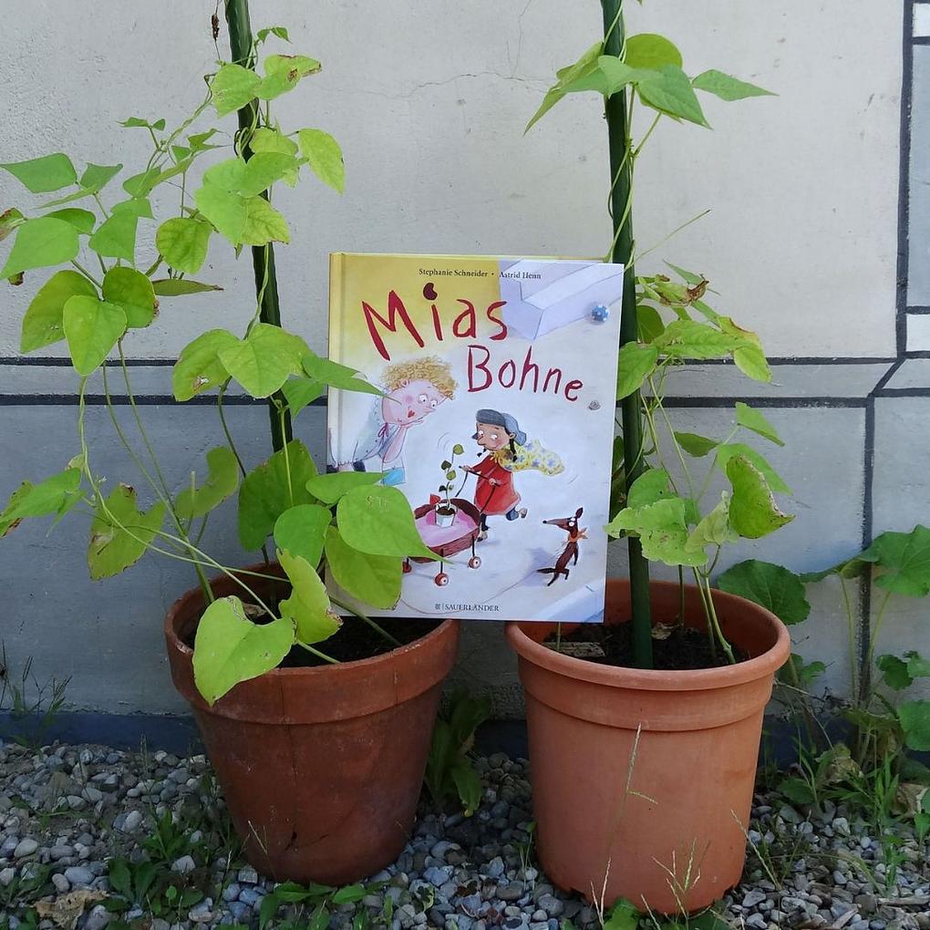 Bild im Zusammenhang mit dem Beitrag