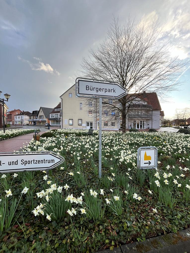 Bild im Zusammenhang mit dem Beitrag