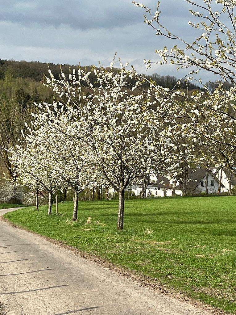 Collagebild 1