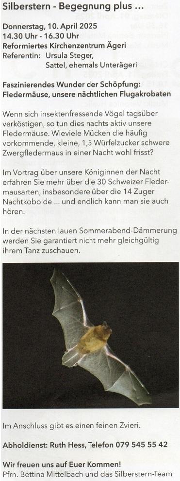 Bild im Zusammenhang mit dem Beitrag