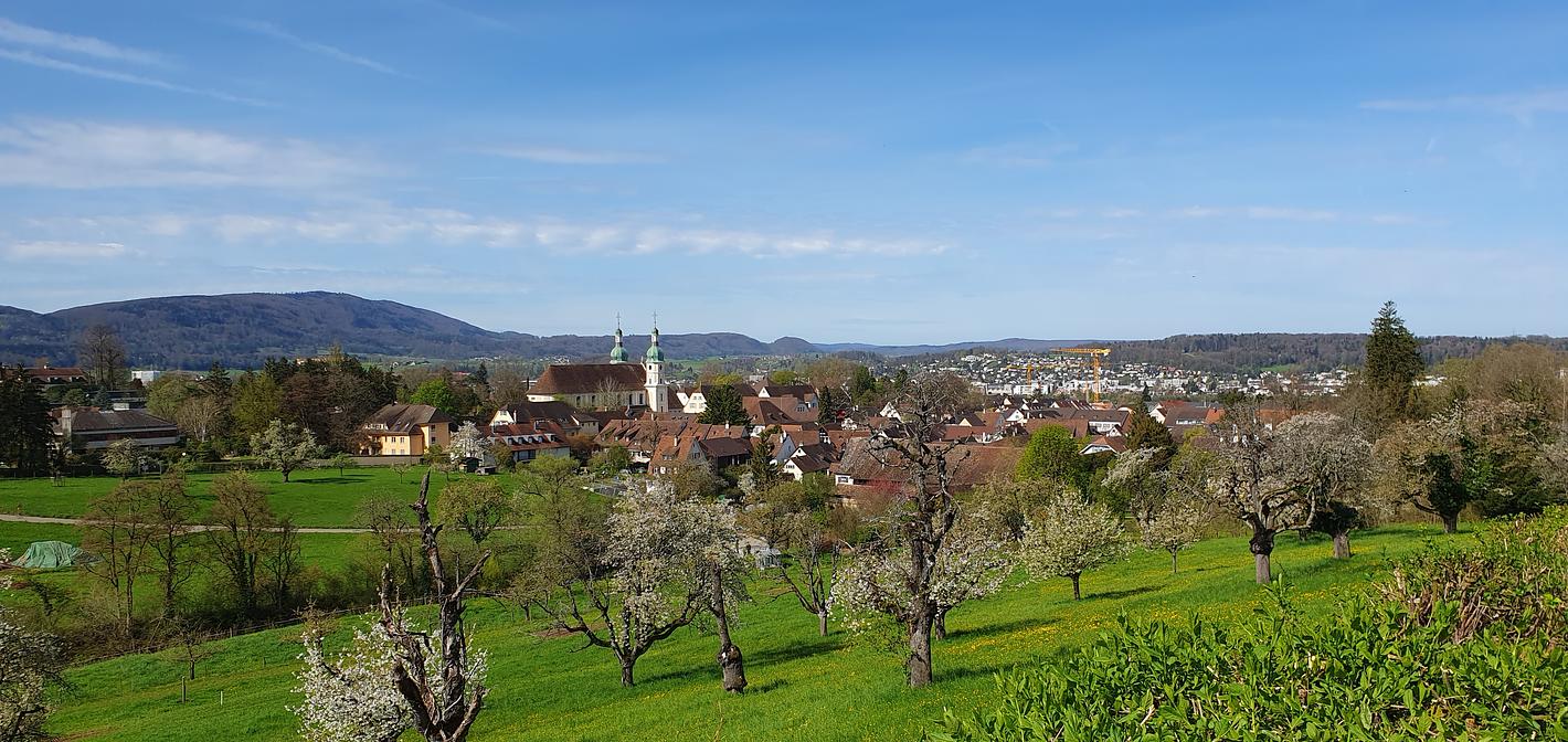 Bild im Zusammenhang mit dem Beitrag