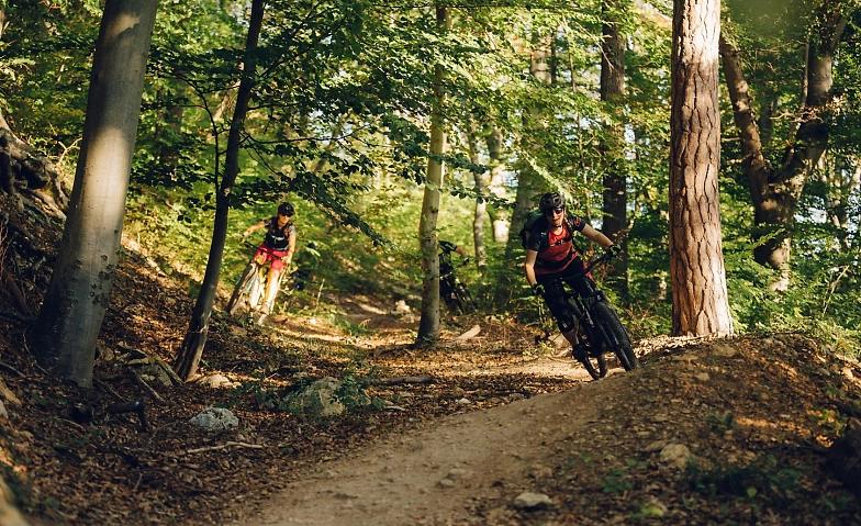 Collagebild 1