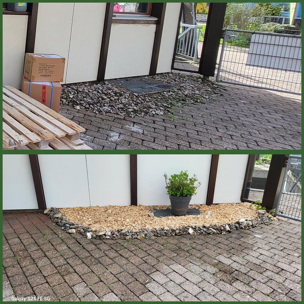Collage image 1