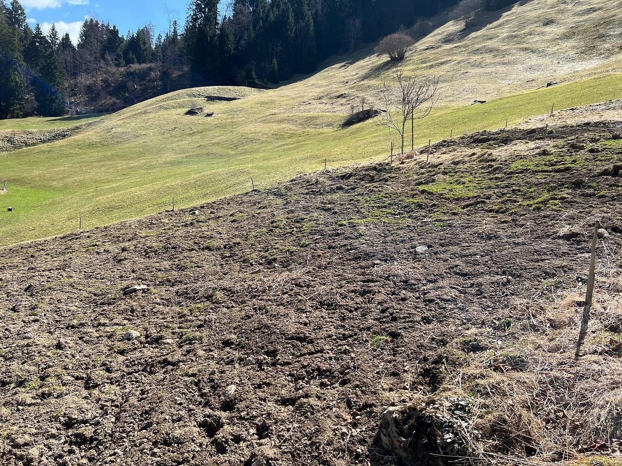 Bild im Zusammenhang mit dem Beitrag