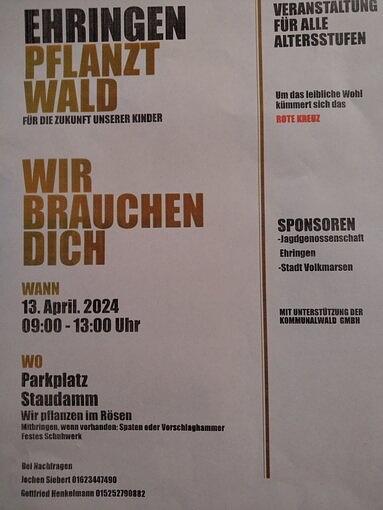 Bild im Zusammenhang mit dem Beitrag