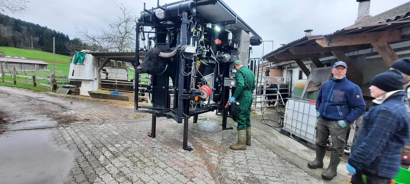 Bild im Zusammenhang mit dem Beitrag