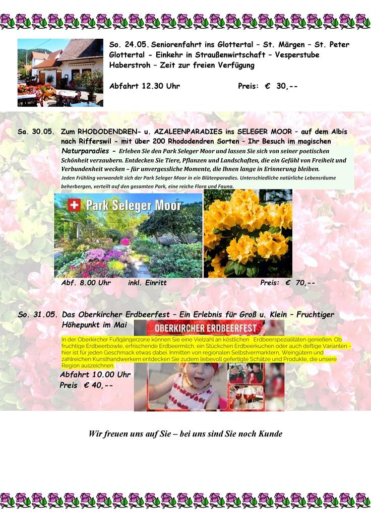 Collagebild 2
