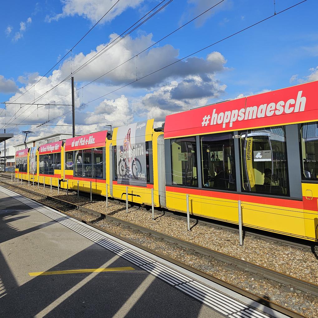Bild im Zusammenhang mit dem Beitrag